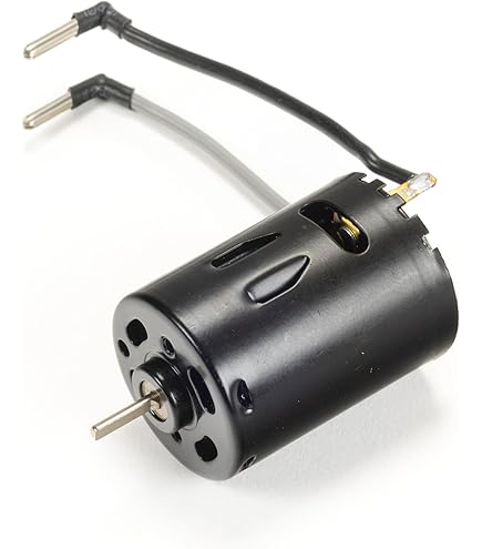 Amazon.com: Tamiya TAM54393 300054393 - Electric Motor Type