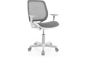 Costzon Kids Desk Chair, Height Adjustable Children Study Computer Chair with Armrests, Sit-Brake Casters, Swivel Mesh Task Chair for Boys Girls Teens Students, Kids Chair for Home, Office (Gray)