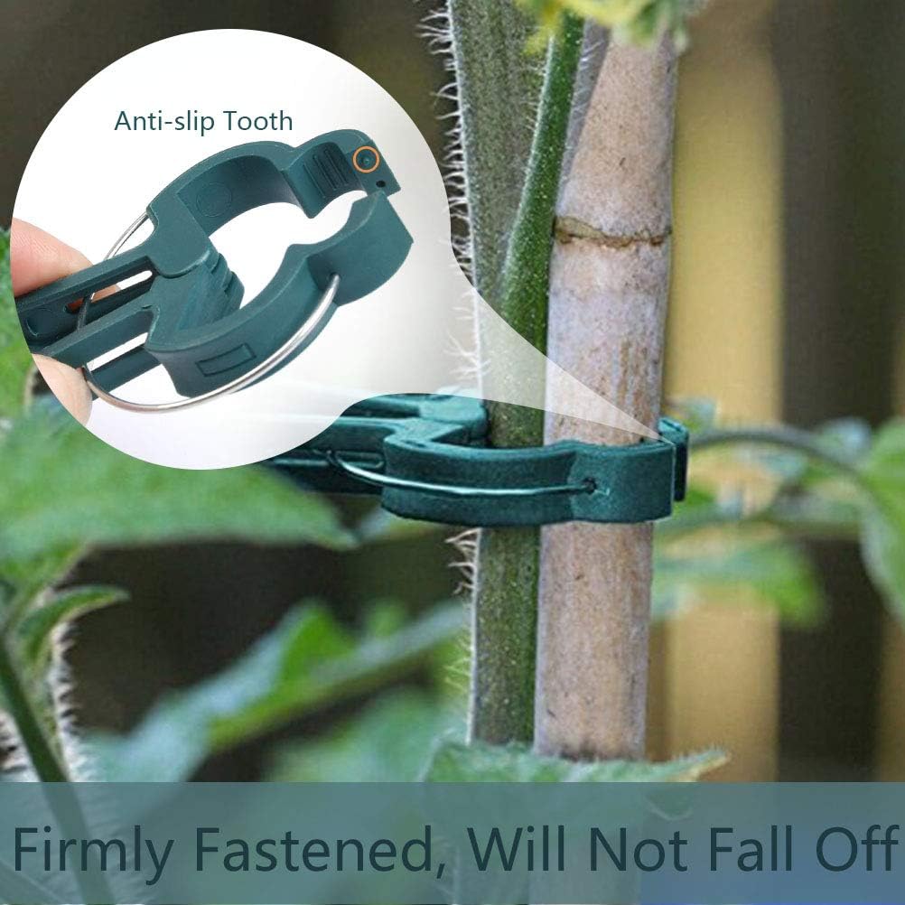 TIMESETL 100PCS Clips para Plantas de jardín (tamaño 2), Clips ...