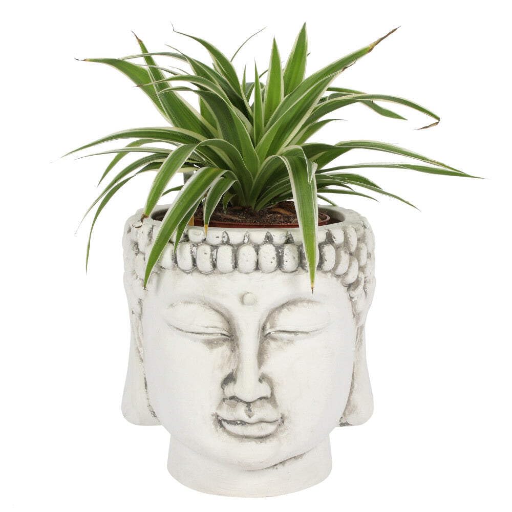 Spirit of Equinox Elegant White Terracotta Buddha Head Planter - 20cm x 20cm (1 Pc.) - Zen Vibes, Unique Eye-catching Design Home Decor - Perfect for Indoor Plants