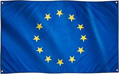 Runesol EU Flag 91x152cm 4 Grommets Premium Polyester Inside Outside