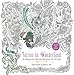 Fairies in Wonderland: An Interactive Coloring Adventure for All Ages