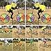 Delight eShop 3D Animal on Bike Windmill Wind Spinner Whirligig Lawn Yard Garden Home Decor (Bullfrog)