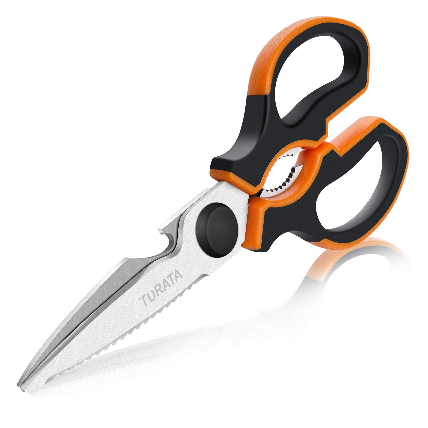 Best rachel ray kitchen shears