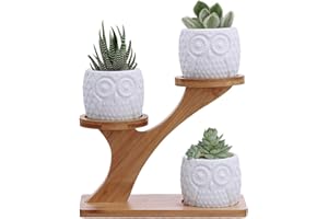 BESTTOYHOME 3pcs Owl Succulent Pots with 3 Tier Bamboo Saucers Stand Holder - White Modern Decorative Ceramic Flower Planter with Drainage - Home Office Desk Garden Mini Cactus Plant Pot Indoor Decoration