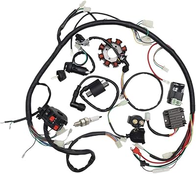 Sunl Dune Buggy Chassi Wiring Harnes - Complete Wiring Schemas