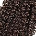 Jerry Curly Clip in Hair Extensions 14 Inch Dark Brown Color Human Hair Double Weft Brazilian Unprocessed Virgin Hair Extensions 7Pcs/lot 16 Clips (70g 14