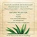 Green Leaf Naturals Organic Aloe Vera Gel, Pure Thin-Gel Formula for Skin, Face and Hair, 16 ounce 2-Pack (two 8 oz bottles)