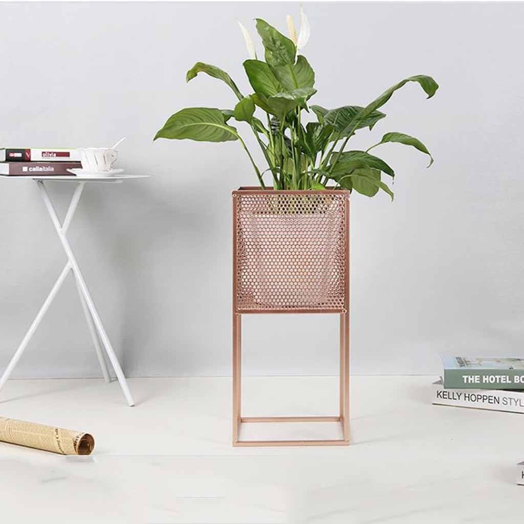 Soporte de exhibición de la flor de la planta Diseño simple 1 ...
