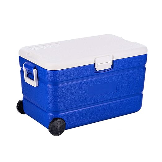 LIYANBWX Nevera portátil 45 l con Ruedas y luz de Cielo: Amazon.es ...