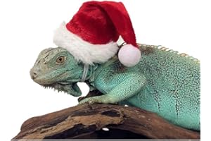 HAICHEN TEC Lizard Clothes for Bearded Dragons Christmas Hat Scarf Set Reptile Apparel Handmade Flannel Clothes