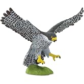 Safari Ltd. Peregrine Falcon Toy - 2.75 Inch Realistic Bird Figure for Kids | 1.75 Inches Long x 2.75 Inches High, Ages 3+, Safety Tested, BPA Free PVC, Bird Study, Nature Play, Display