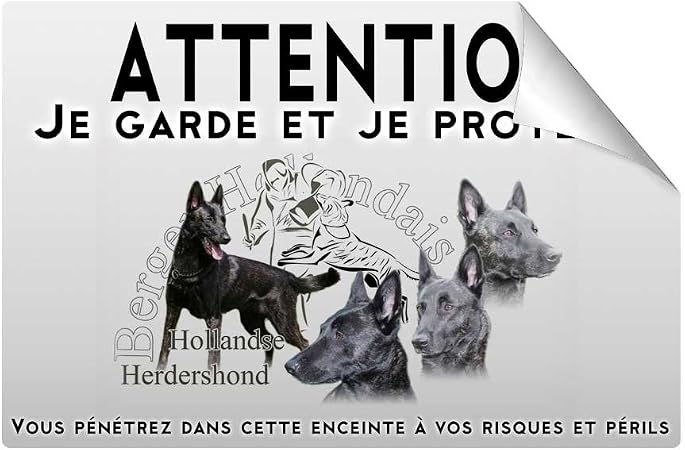 Pets Easy Stickers Attention Au Chien Berger Hollandais Poil Court