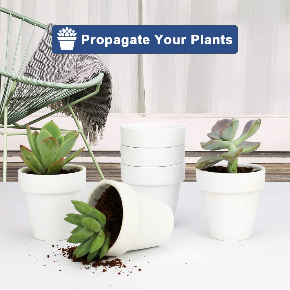 vensovo 24pcs White Terra Cotta Pot - 2.5 Inch Tiny Mini Clay Pots with Drainage Holes Flower Nursery Terra Cotta Pots for Indoor/Outdoor Succulent Plants, Crafts, Wedding Favor