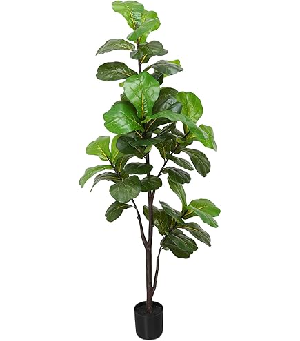 pothos plant seeds Pothos Plant Food 8oz main image 0