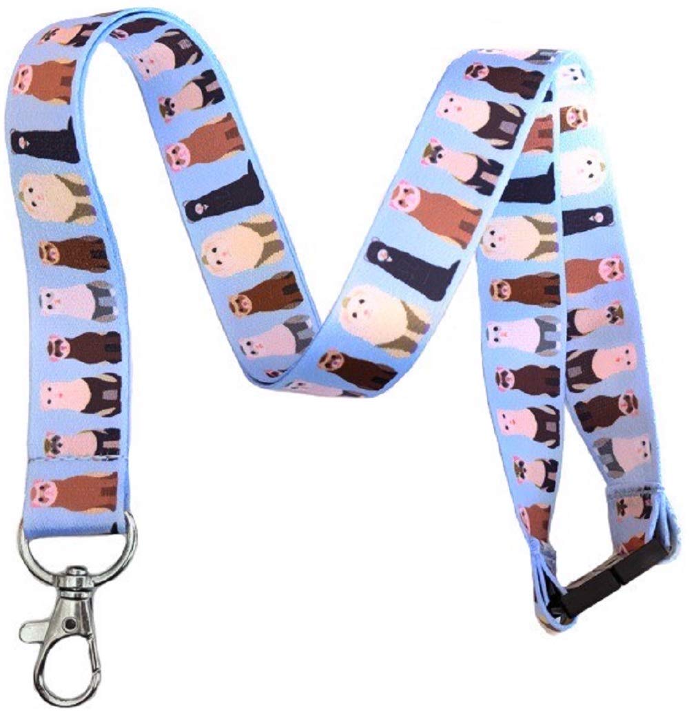 Small Pets & Animals Break Away Lanyard Key Chain Id Badge Holder (Ferret)