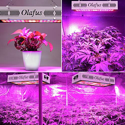 Olafus 300w led grow light Clearance