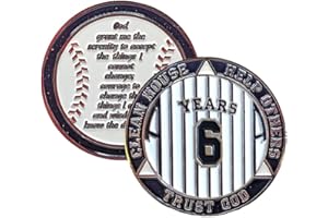 MYRECOVERYSTORE 06 Year AA Medallion Pinstripe Yearly Alcoholics Anonymous chip w/Coin Holder