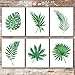 Tropical Leaves Wall Decor Art Prints - Botanical Prints Wall Art (Set of 6) - Unframed 8x10s | Flower Wall Décor | Kitchen Wall Décor | Vintage Wall Décor | Aesthetic Wall Décor | Living Room Décor