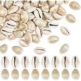 PH PandaHall 100pcs Natural Cowrie Seashells, 20mm Ring Top Cowrie Shell Ocean Beach Shells Small Craft Cowries Ornament for DIY Craft Summer Party Table Hat Costume Decoration, 250g