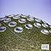 San Francisco: California Academy of Sciences (Renzo Piano Monographs) (English and Italian Edition)