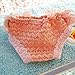 Bro'Bear Washable & Elastic Floral Female Dog Diaper Sanitary Panties Puppy Lace Underwear Pink (Large)