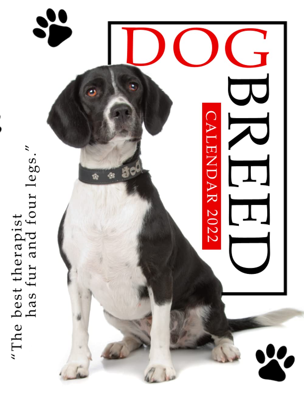 Dog Calendar 2023 Amazon.in: Buy Dog Breed Calendar 2022: 2022-2023 Calendar Animals-Animal  Wildlife Calendar July 2022 To December 2023 With High Quality Cute Animal  Photos For Animal Lover Gifts For Kids Book Online At Low