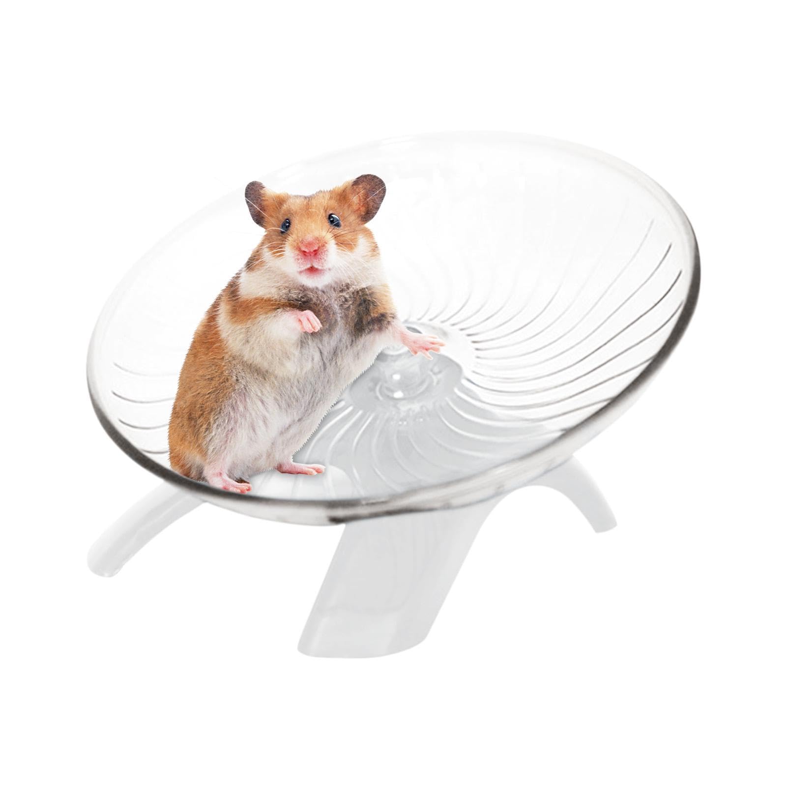 Photo 1 of Hermit Crabs Wheel Toy,Silent Hamster Wheel Hamster Running Cycle Playing Toy Exercise Sports Cycle Cage Decoration for Gerbils Squirrels and Mice(White,Size:13cm)