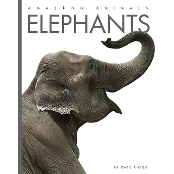 「elephant」Steve bloom Elephants by Steve Bloom | eBay