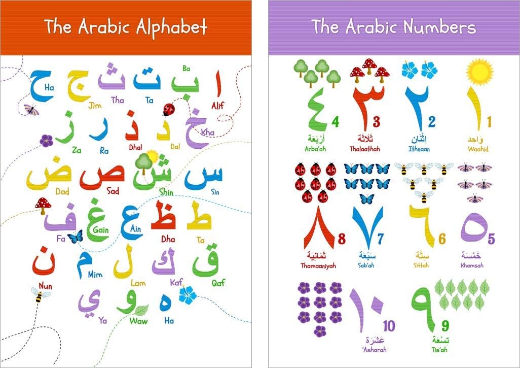 Akross Kultures Arabic Alphabet & Numbers - Counting - Set of Two Laminated 13" x 19" Posters - Nature Themed