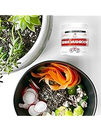 Genius Mushroom - Leones Man, Cordyceps y Reishi - Sistema inmune Booster y suplemento...