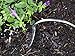 Joseph Bentley Traditional Garden Tools Stainless Steel Hand Onion Hoe