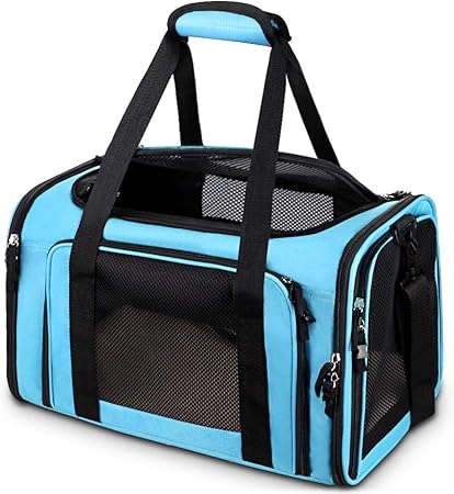 cat carrier for 15 lb cat