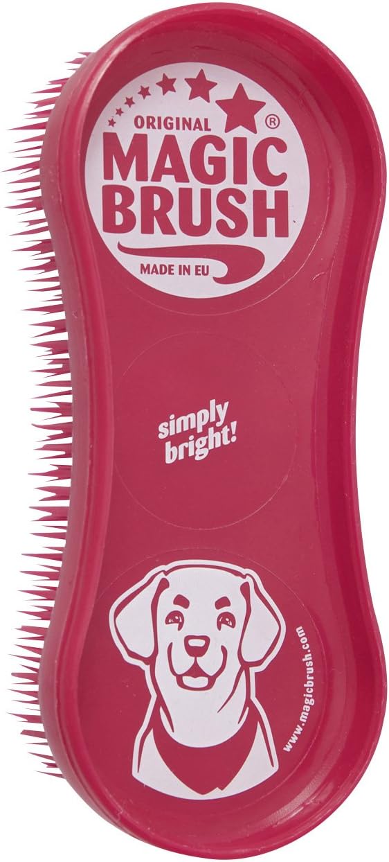 french bulldog and chihuahua mix