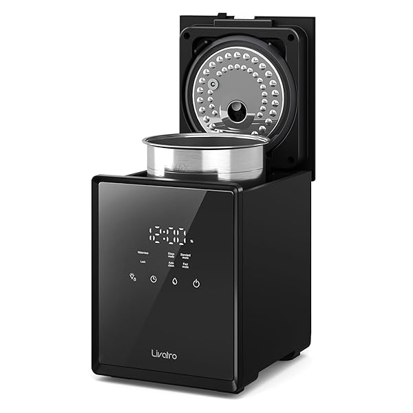 LIVATRO STAINLESS STEEL HUMIDIFIER, 3L WARM MIST HUMIDIFIER,...