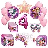 Girl Pups Paw Patrol Skye & Everest 4th Birthday Party Pack 52pc