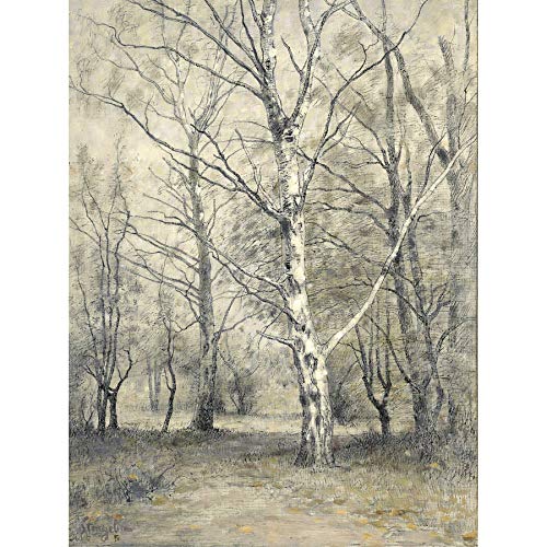 Artery8 Stengelin Forest With Birch Trees Painting Art Print Canvas Premium Wall Decor Poster Mural