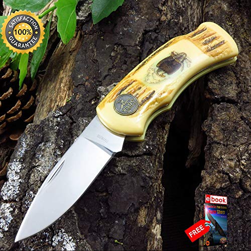FOLDING POCKET Sharp KNIFE Eagle Collectible Wildlife Mirror Finish Blade Combat Tactical Knife + eBOOK by Moon Knives