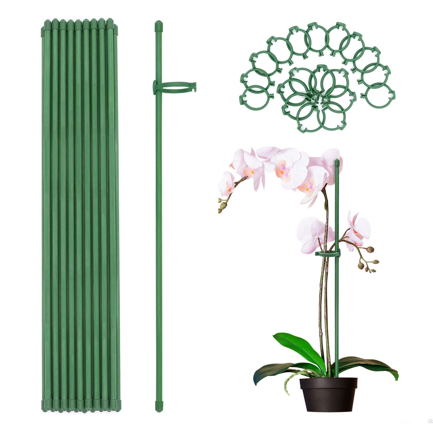 MEEYUU 20Pcs Plant Stakes Green Garden Single Stem Plant Support Stakes, Plant Support Sticks with Rings for Indoor and Outdoor Plants,Flowers,Tomatoes (40cm)