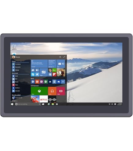 Amazon.com: LILLIPUT 10.1