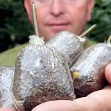 Namvo 100pcs PVA Carp Fishing Bags 7x10cm Water Soluble Solid Bait view 6
