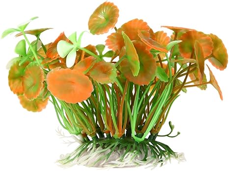 Amazon Co Jp 水族館の植物 人工水草 癒し水景 水生植物 水槽飾り まるで本物 癒しの水景 草風 ボールプラント Broadroot ロータスイエロー ホーム キッチン Amazon Co Jp 水族館の植物 人工水草 癒し水景 水生植物 水槽飾り まるで本物 癒しの水景 草風 ボールプラント Broadroot ロータスイエロー ホーム キッチン