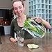 Water Pitcher with Lid : BPA-Free Fruit Infusion Pitcher / Water Jug by Ergo Kitchen Accessories - 84 Oz.