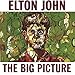 The Big Picture[2 LP]