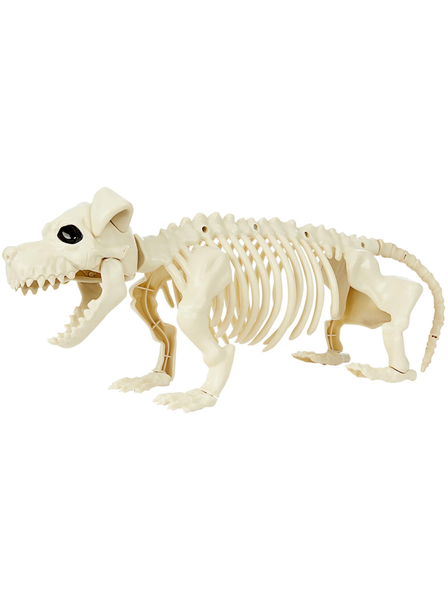 Smiffys Dog Skeleton Prop, Natural 51cm*14cm*17cm, Halloween Fancy Dress Accessory, Animal Dress Up Halloween decorations