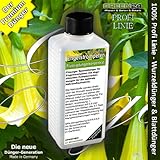 Brugmansia, Datura (Angel's Trumpets) Liquid Fertilizer HighTech NPK, Root Soil Foliar Fertiliser - Professional Plant Food