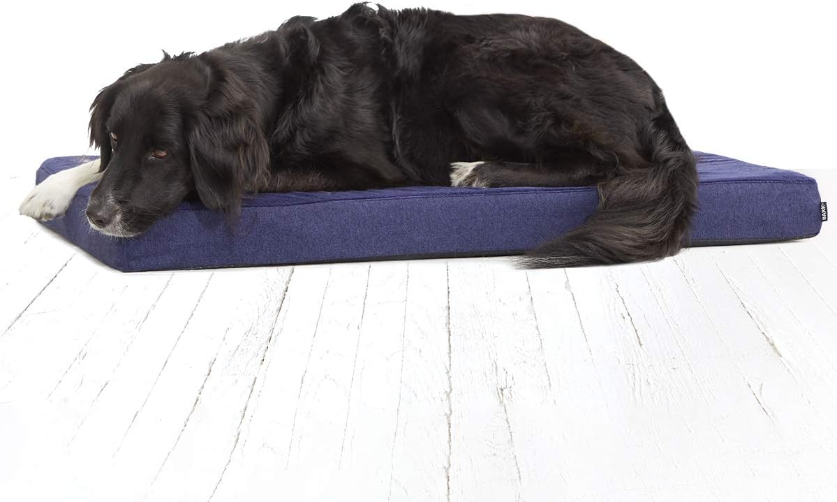 Barkbox Memory Foam Platform Dog Bed Plush Mattress for Orthopedic