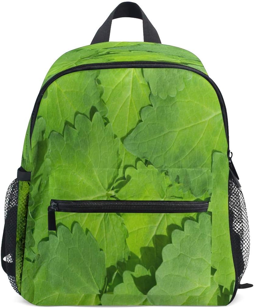 unique backpacks for school