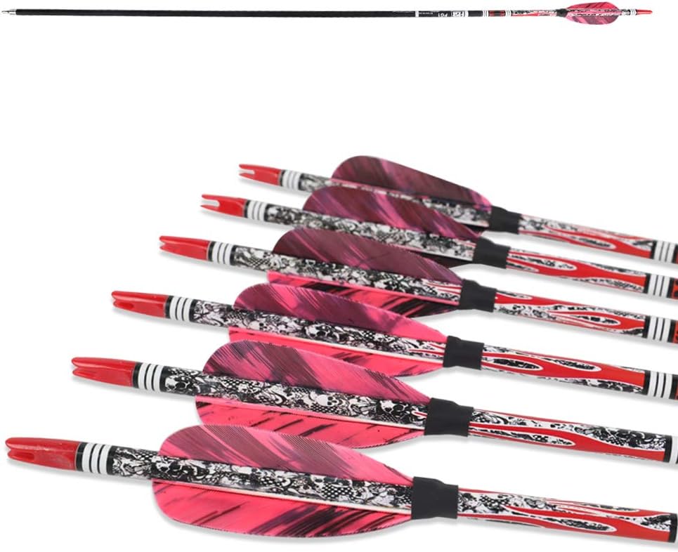 PG1ARCHERY 30 Inch Archery Targeting Arrows Carbon Practice Hunting Arrow with 3" Turkey Feathers Fletching Replacement Tips for Recurve & Compound Bow, 6 Pack Purple : Sports & Outdoors