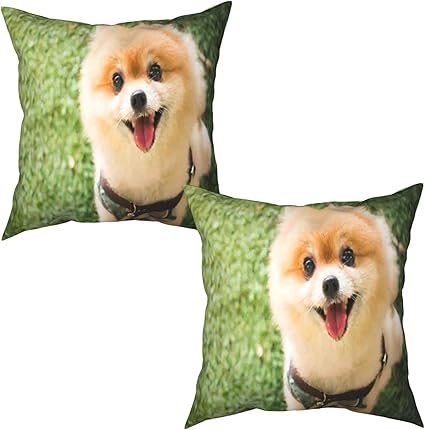 Amazon 2パック枕カバークッションカバー 動物ポメラニアン犬おかしい毛皮のような幸せな子犬小さな笑顔 スクエアスロー枕カバーソファクッションベッドサイドチェア普通のクッション家の装飾の装飾 50x50cm X2 枕カバー ピローケース オンライン通販